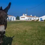 De La Grande Borderie Vakantiehuis *