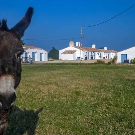 De La Grande Borderie Hébergement de vacances *