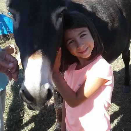 Dom wakacyjny De La Grande Borderie