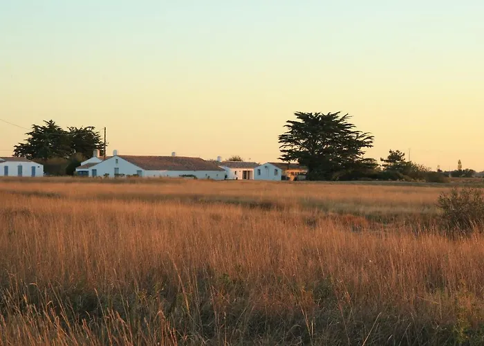 Tatil Evi De La Grande Borderie Saint-Gervais (Vendee)