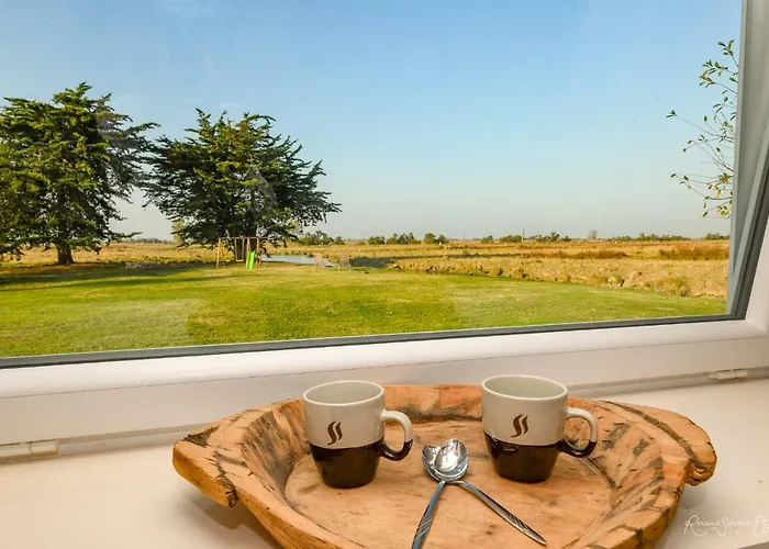 De La Grande Borderie *