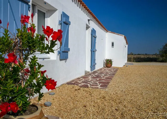 De La Grande Borderie *