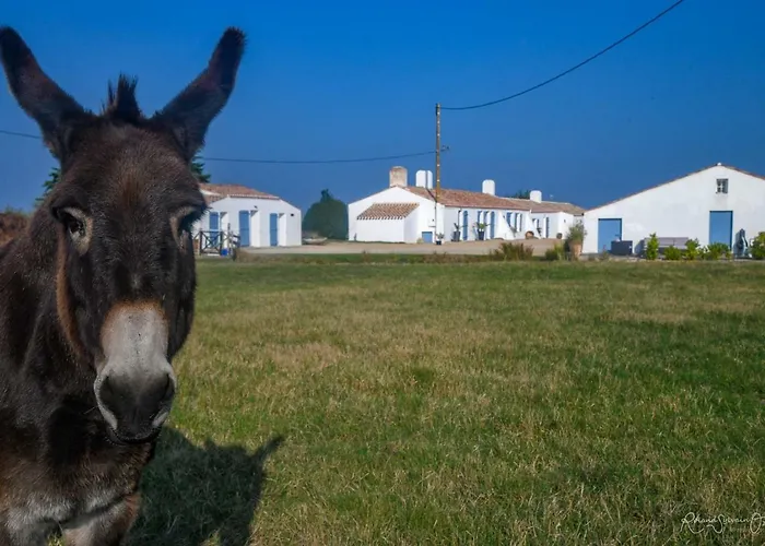 De La Grande Borderie Tatil Evi *