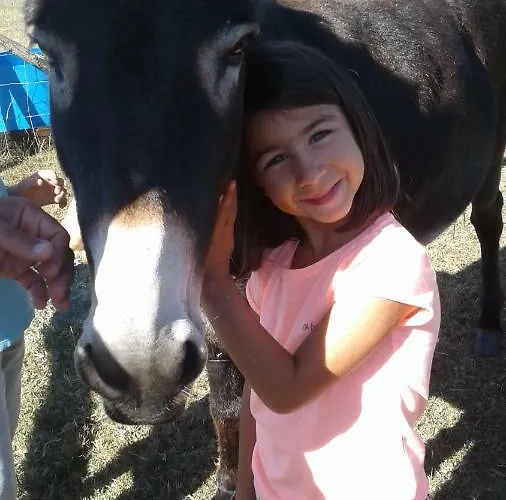 Tatil Evi De La Grande Borderie